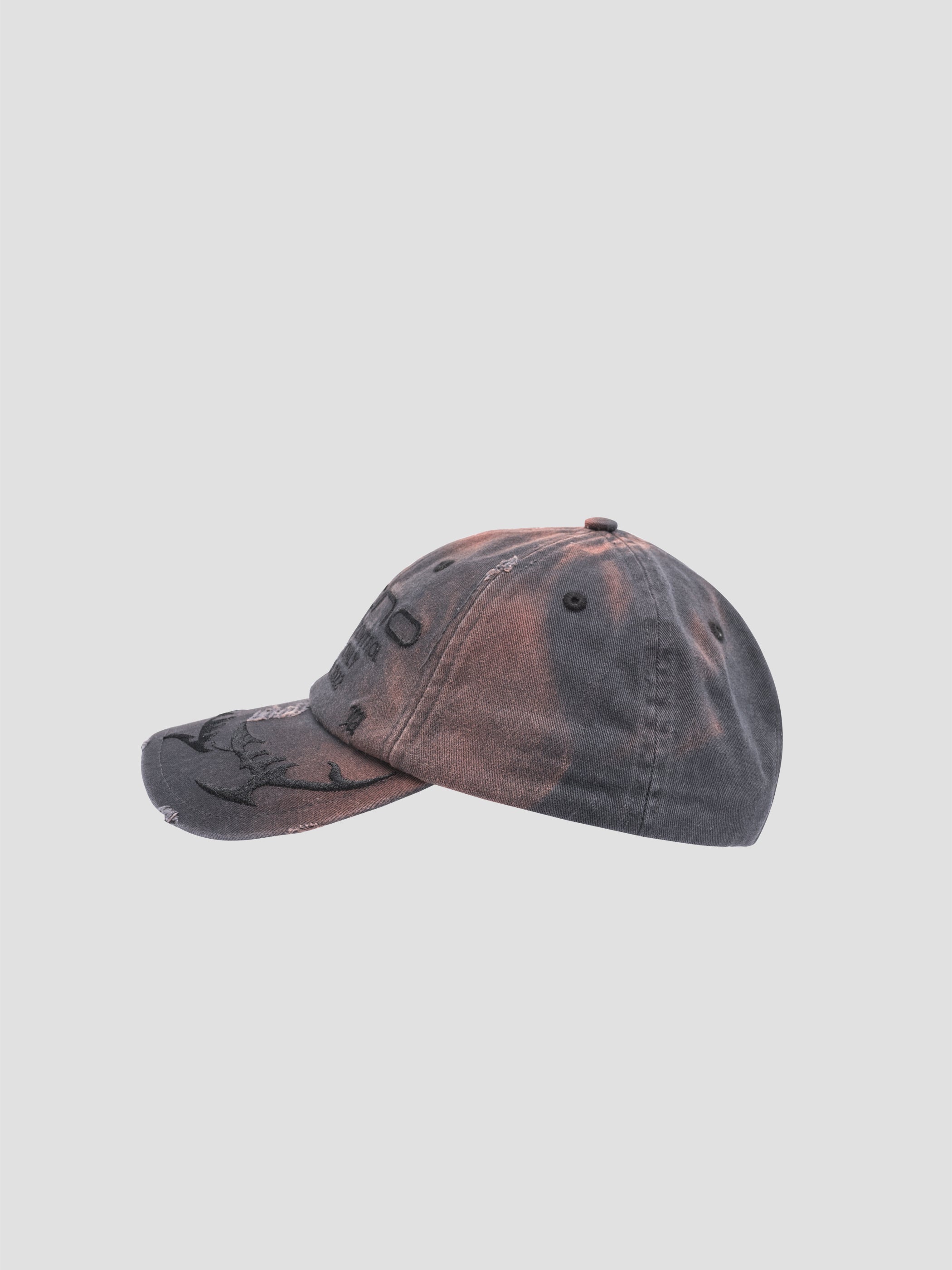 Sun Faded Tecno Cap